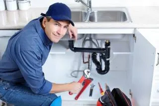 Pinckney, MI Plumber Company
